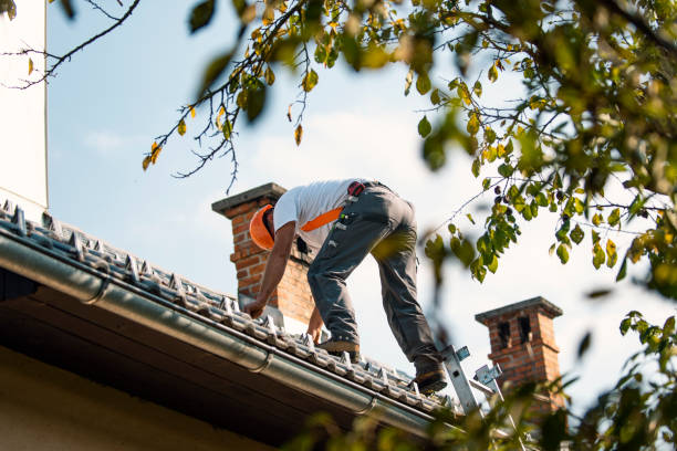 Best Roof Restoration Services  in Narrows, VA